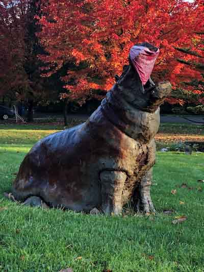 Hippo