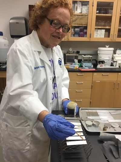 Barb Kanegsberg in Prof. Darren Williamâs lab at SHSU.