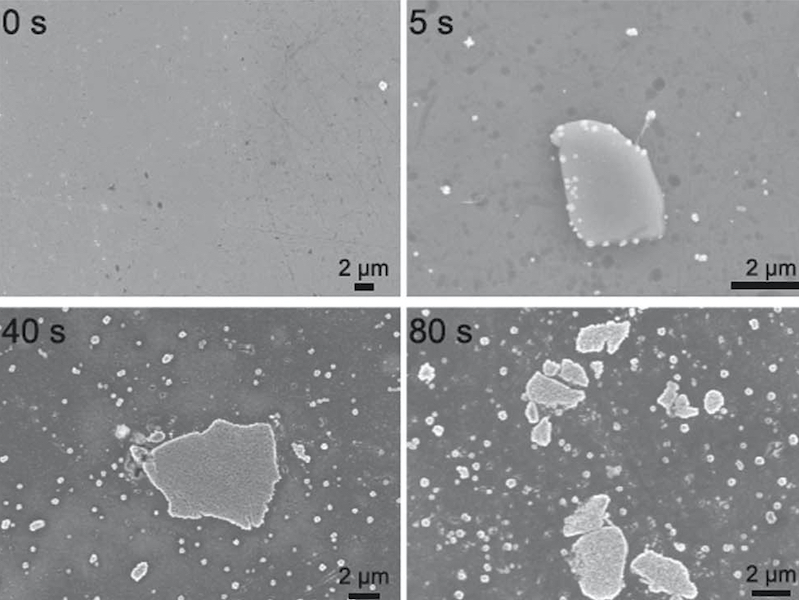 microscopic images