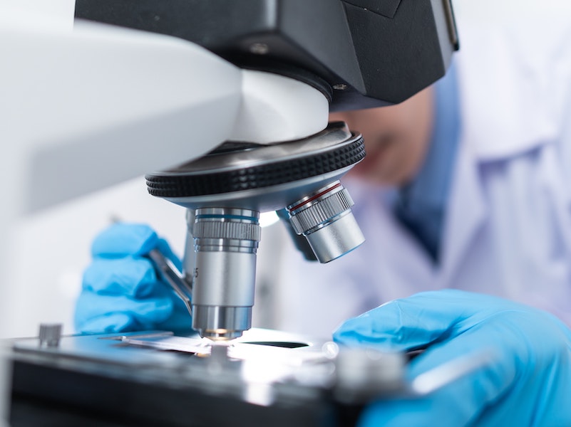 person looking into microscope