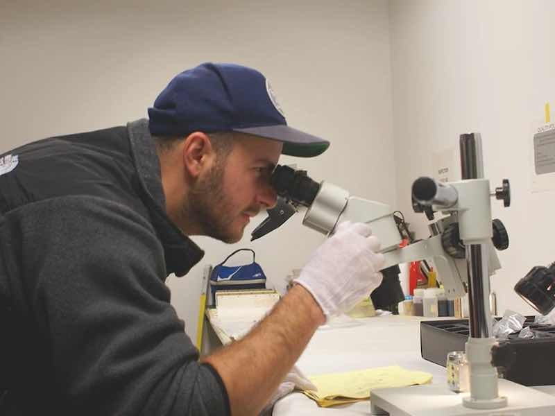 Totaroâs Doctorate is based on manipulating current to get the desired product during the anodizing process