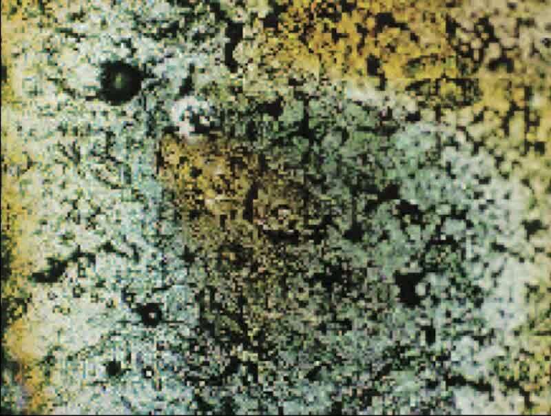Second-plated part (also 100X surface photo) evidencing stain in the notched area. Note also that the individual powder spheres are clearly visible in this area, along with large surface pores.