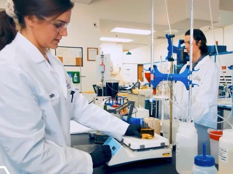 people working in a lab
