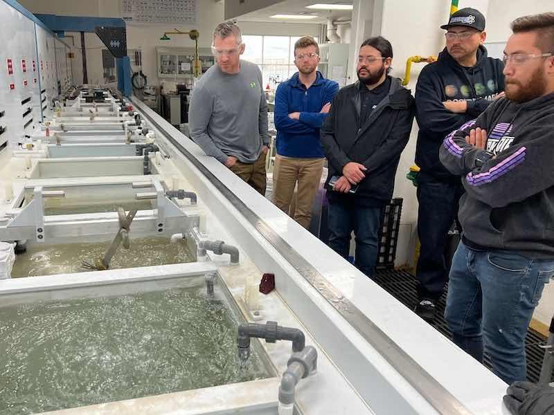 students looking into anodizing tanks
