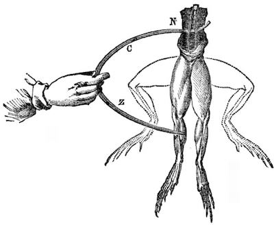 Galvani notebook image of contracting leg