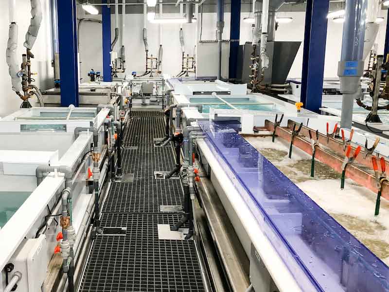 plating lines in a facility