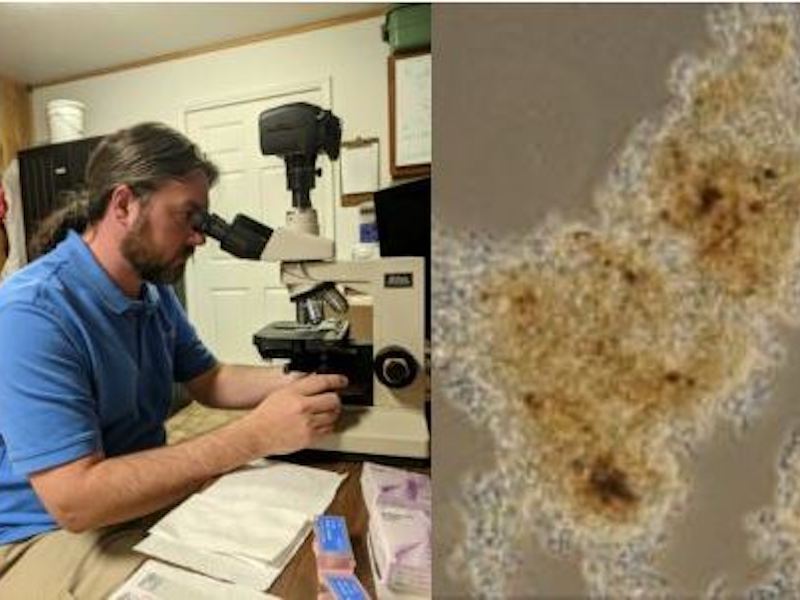 man looking into microscope
