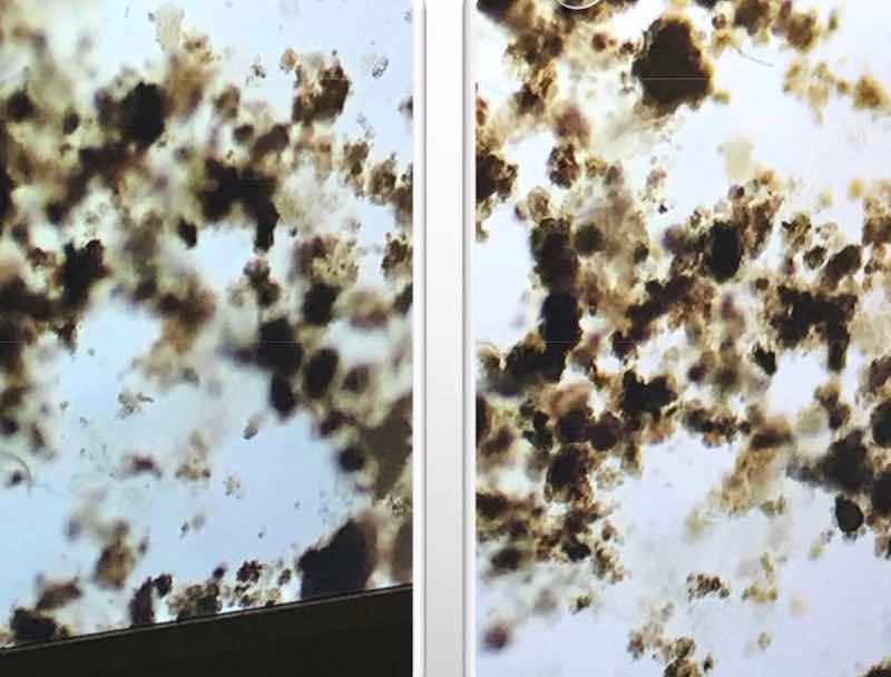 Industrial biological treatment in real time: (L) influent and (R) effluent.