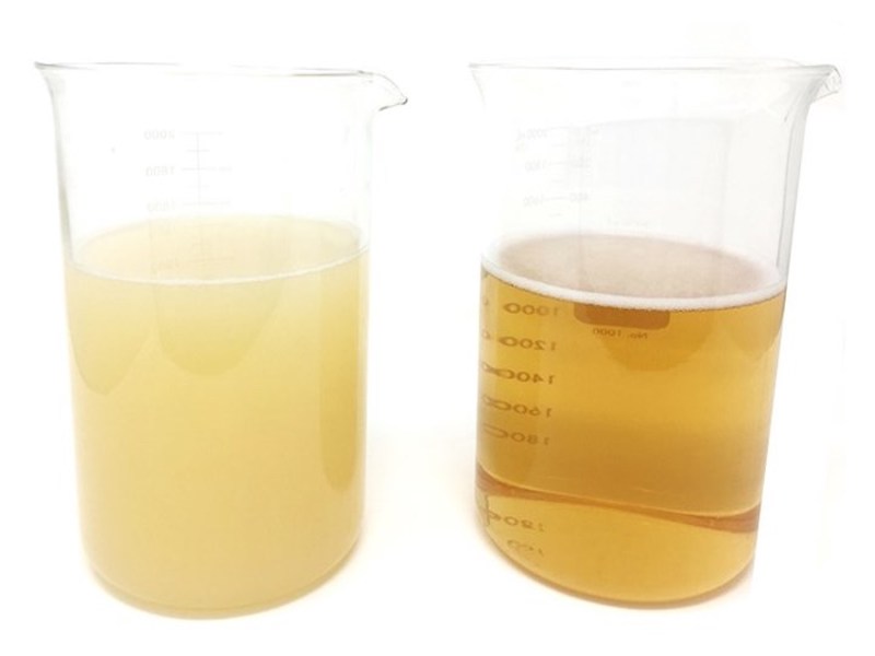 two jars from a lab filled with liquids