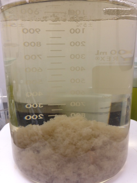 glass of liquid from wastewater tank