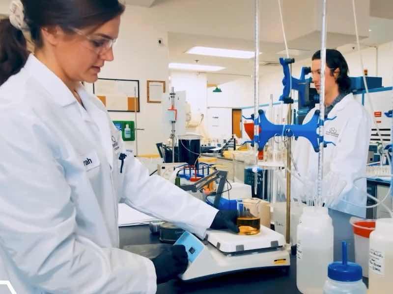 people working in a lab