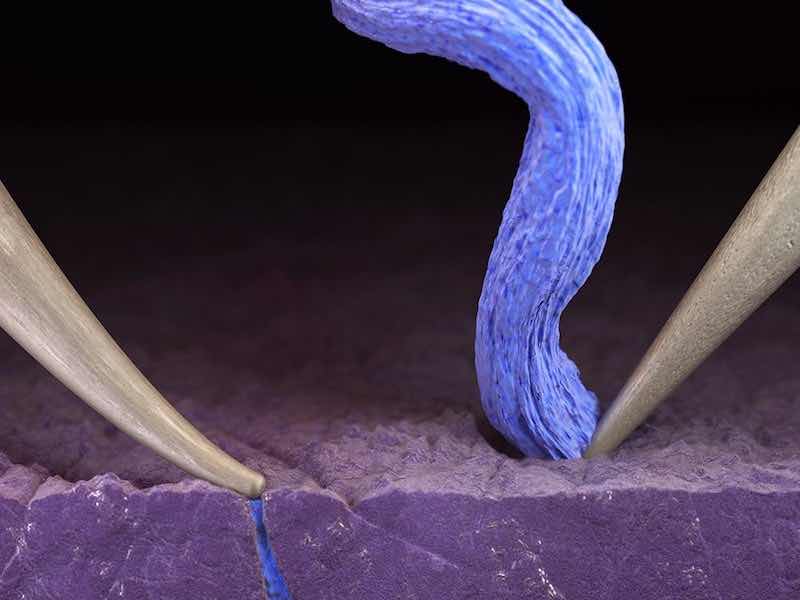 one probe bending from applied pressure