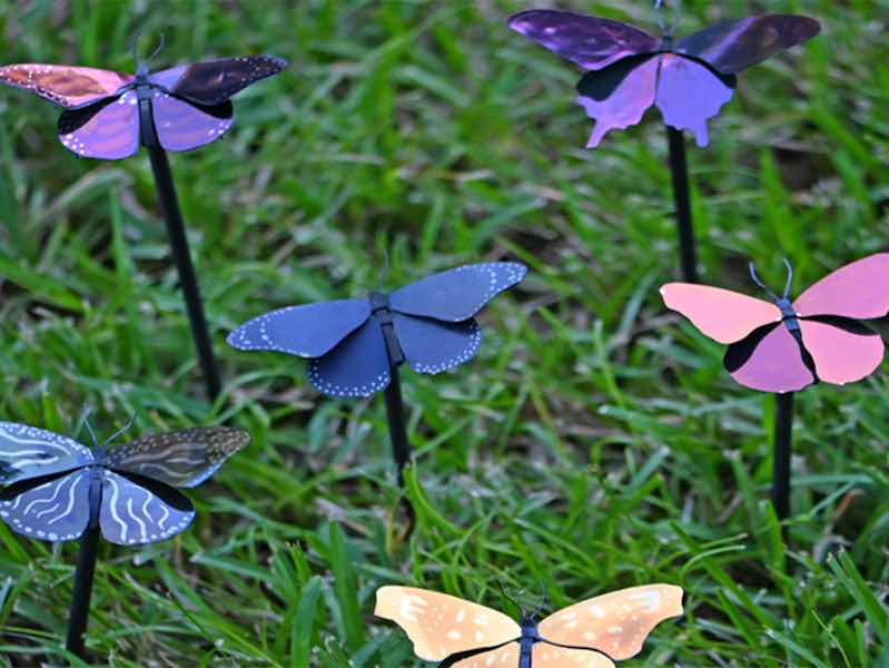 The UCF-developed plasmonic paint uses nanoscale structural arrangement of colorless materials â aluminum and aluminum oxide â instead of pigments to create colors. Here the plasmonic paint is applied to the wings of metal butterflies, the insect that inspired the research.