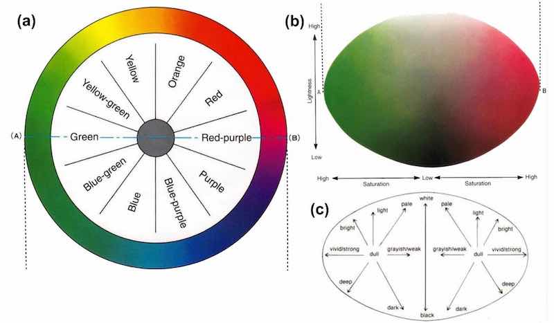 Figure 1 â Characterization of color properties: (a) color wheel; (b) changes in lightness and saturation for red-purple and green; (c) adjectives related to colors for lightness and saturation.