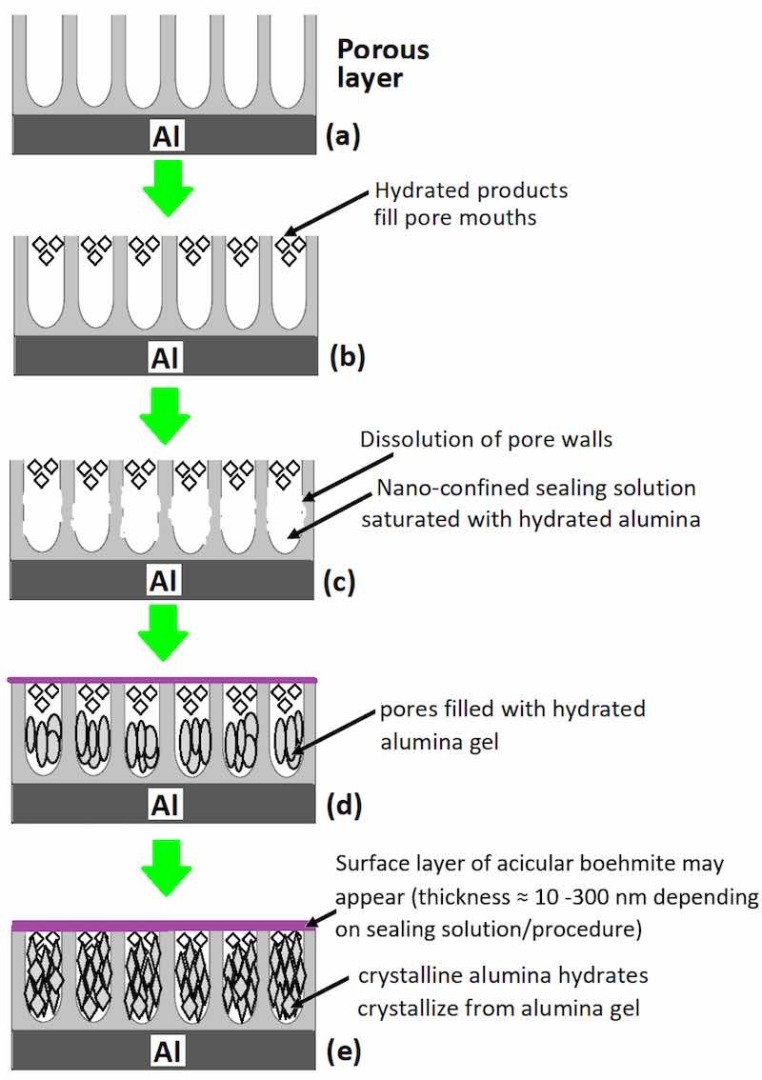 Figure 1. Structure of the anodized layer on aluminum prior to sealing and changes that occur during Figure 1. Structure of the anodized layer on aluminum prior to sealing and changes that occur during sealing; (a) anodized aluminum prior to sealing, (b) pore mouths filled with hydrated products, (c) sealing; (a) anodized aluminum prior to sealing, (b) pore mouths filled with hydrated products, (c) dissolution of pore walls, (d) precipitation of hydrated alumina gel in pores and emergence of surface dissolution of pore walls, (d) precipitation of hydrated alumina gel in pores and emergence of surface layer of acicular boehmite, and (e) crystallization of crystalline alumina from alumina gel.