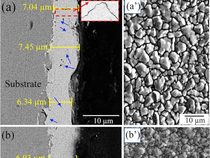 SEM micrographs of the cross-sections and surfaces