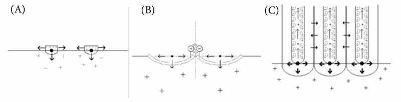 Figure 3: Schematic summarizing AAO nucleation and growth. A: Preferential nuclei form the base of pore. B: Repulsive forces between similarly charged oxide âflakesâ foster outward growth and initiate pore formation. C: Mass transport and diffusion across column walls form knitlines while repulsive forces within pore maintain the erect nature of the column and dynamic flow of the electrolyte.
