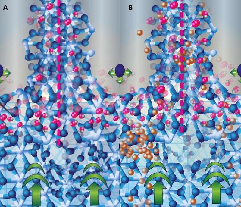 Figure 6: Schematic of the walls of the anodic oxide at the junction of three anodic oxide cells. An entire cell is bracketed with pink dotted lines; the central pore appears gray with repulsive forces represented by a single sphere. The fcc aluminum structure is at the bottom of the schematic with the current bias represented by bold green arrows. The forming bct structure (A and B) exhibits the primary oxidation reaction at the interface between the fcc and the electrolyte in the pore by the presence of oxygen atoms on the bct structure. The schematic on the right B shows non-aluminum ions (copper colored) diffusing from the fcc lattice, through the bct anodic oxide network, into the central pore where it will be carried into the electrolyte. Note how the copper atoms âpile upâ at the fcc-bct interface. This is due to the structural/compositional mismatch between the aluminum and the anodic oxide.