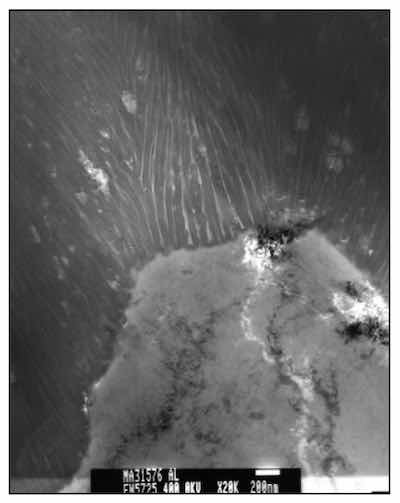 Figure 7: TEM image of a Type III or hard anodic oxide. The thicker column walls and proportionally wider pores offer more wear resistance when compared to Type II or Type I anodic oxides.