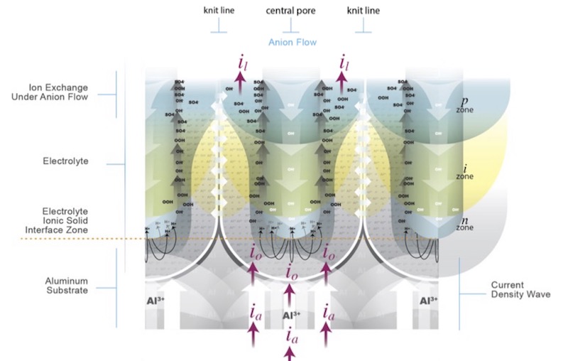 Figure 7: 2-D Schematic representing the ânetwork in the networkâ of the anodic oxide, comprised of individual columnar cells, each with a central pore and circumscribed by a knit-line. Dynamic ion exchange occurs along the central pore. Knit-lines join each cell to its nearest neighbor. [10]