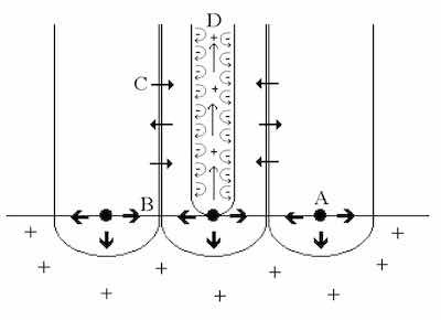 Figure 1: The Constraint Theory of Anodic Oxide Formation. A: Preferential nuclei form base of pore. B: Repulsive forces between similarly charged oxide âflakesâ foster outward growth. C: Mass transport and diffusion across column walls form intercolumn âknit linesâ. D: Repulsive forces within each pore maintain the erect nature of the column and dynamic flow of the electrolyte.