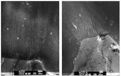 Figure 4: X25,000Representative TEM photomicrograph of a Type II anodized finish. Figure 5: X20,000 Representative TEM photomicrograph of a Type III anodized finish.