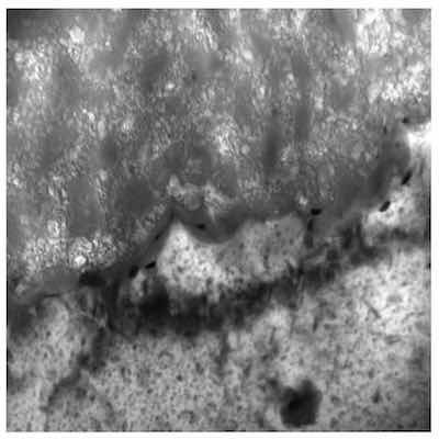 Figure 6: X100,000 Representative photomicrograph of a Type I microstructure at the aluminum â anodic oxide finish interface.