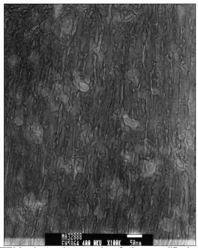 Figure 7: Representative TEM photomicrograph of the modified structure of a composite anodized film. Note the cellular, rather than directly columnar structure.