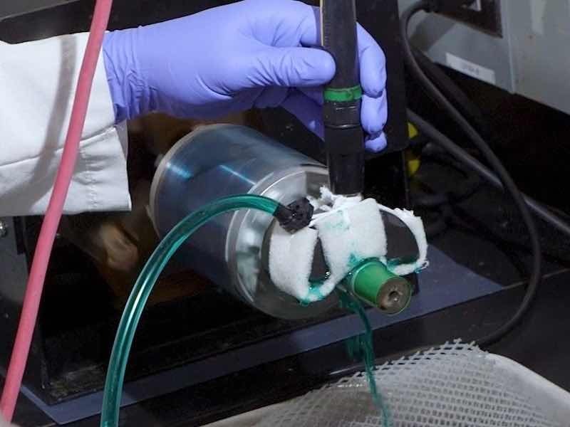 Motor repair image 1
