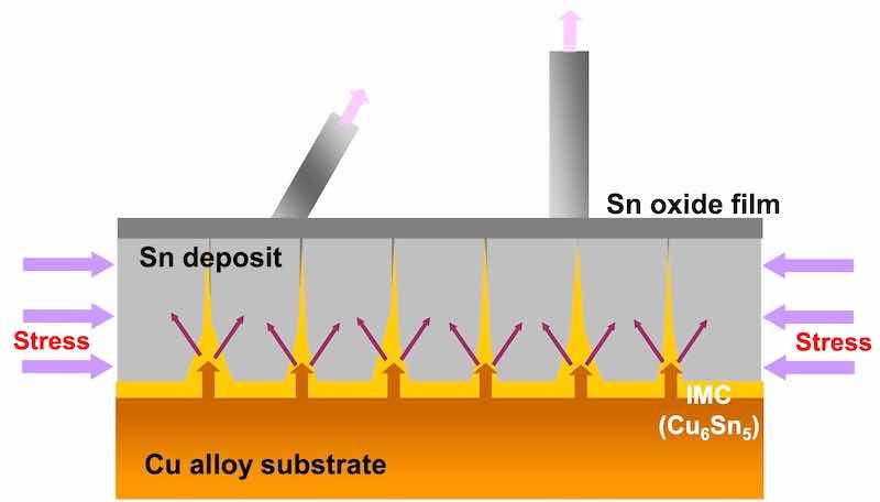 Figure 1 - A schematic diagram of tin whisker formation.