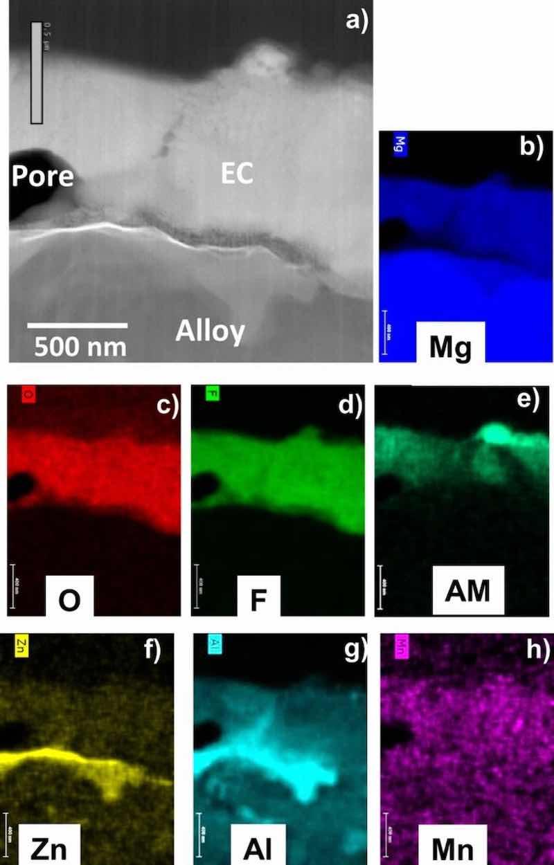 Figure 5. STEM Z-contrast cross-section image (a) and corresponding elemental maps (b-h) for as-EC coated AZ91D showing the coating is Mg-F-O rich, consistent with XRD and XPS data (AM = alkali metal). The Al-rich second phase near the alloy-EC interface is consistent with Î² Mg17Al12.