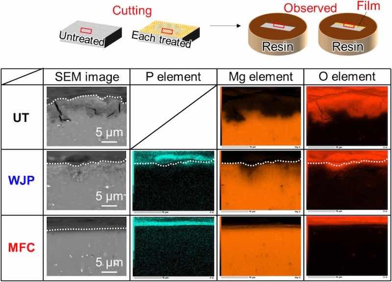 Fig. 11. SEM images and EDS elemental mappings of sample surfaces after various treatments. The dotted lines indicate the sample surface.