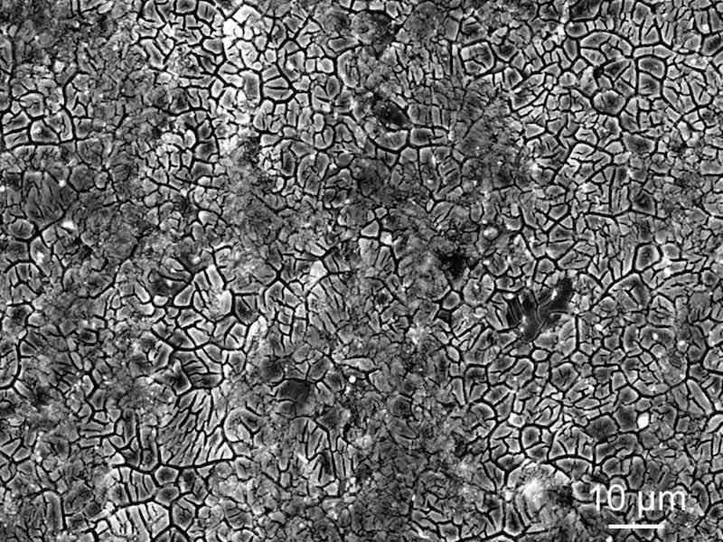 Fig. 3. SEM image of a sample after the MFC treatment.