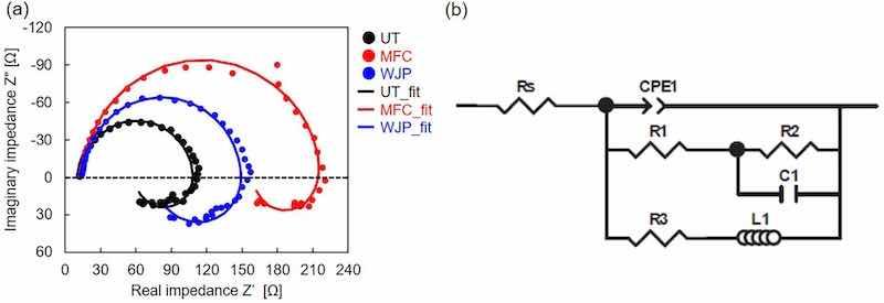 Fig. 7. Electrochemical impedance spectroscopy results: (a) Nyquist diagram for UT, WJP-treated, and MFC-treated samples immersed in 5 mass% NaCl solution for 4 h; (b) electrical equivalent circuit for corroding Mg.