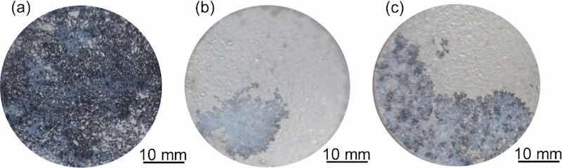 Fig. 9. Surface of each sample after 4 h of electrochemical impedance measurement.