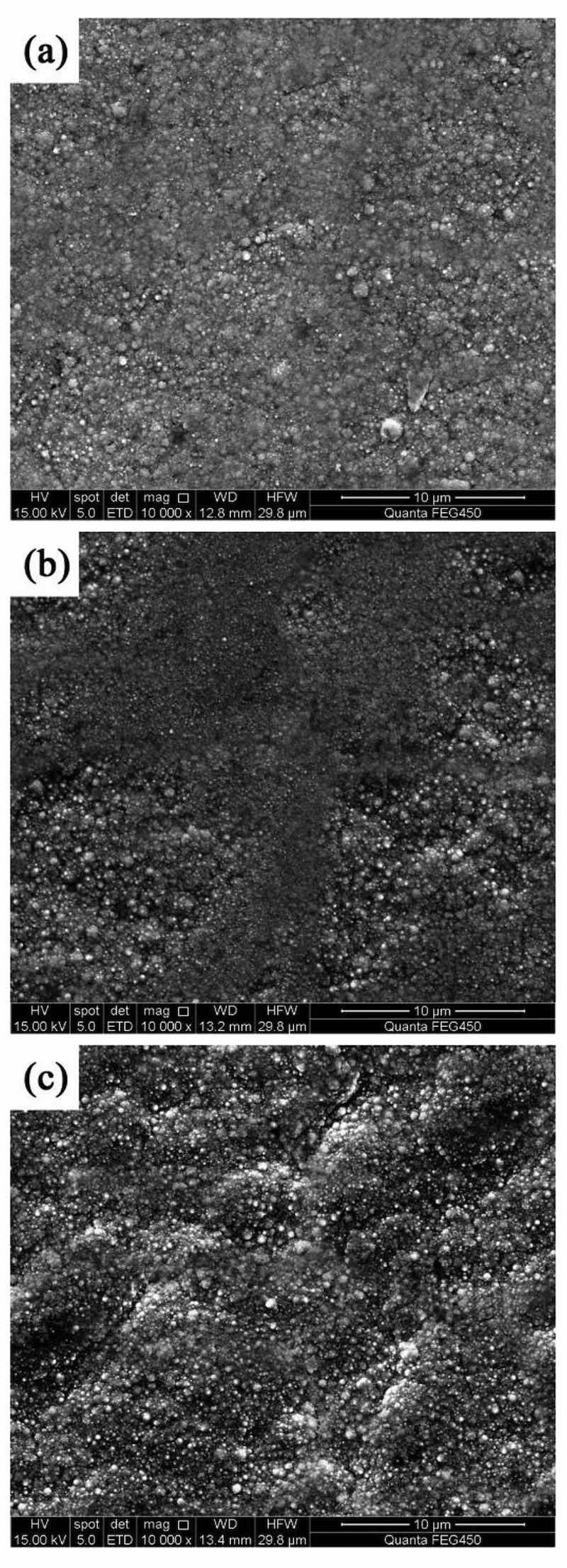Figure 3: NCSTCCs surface morphologies obtained at 50% DC and different PFs: (a) 10 Hz, (b) 30 Hz, and (c) 60 Hz.