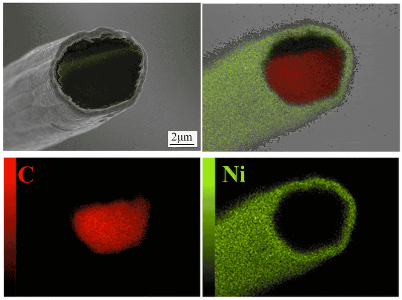 Figure 12. EDS elemental mapping analysis of Ni coating on carbon fiber surface.