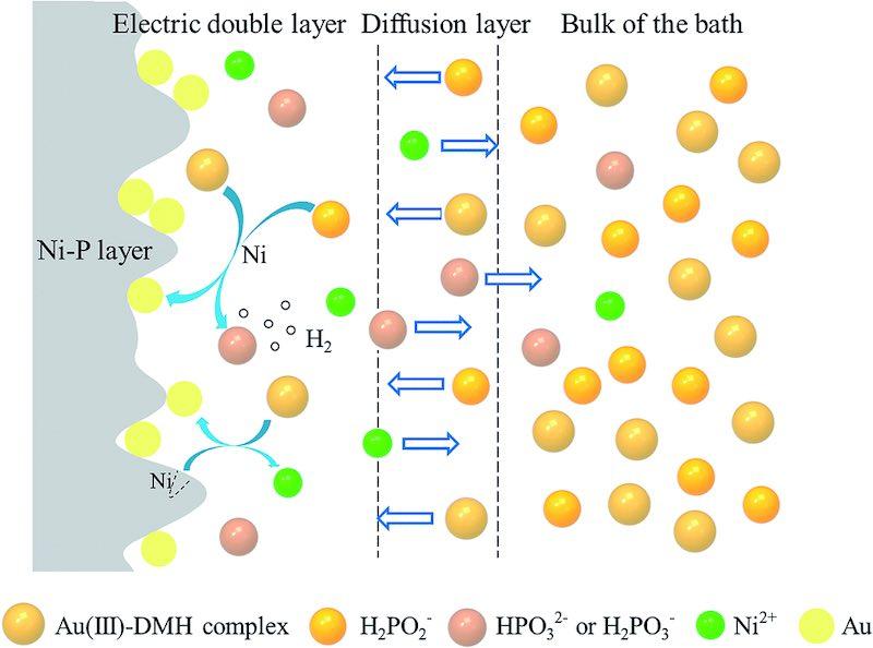 Fig. 13 Reaction diagrams on NiâP layer in the electroless gold plating bath.