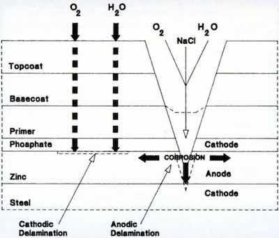 1Figure 10 - Schematic diagram of corrosion site in painted electrogalvanized steel.