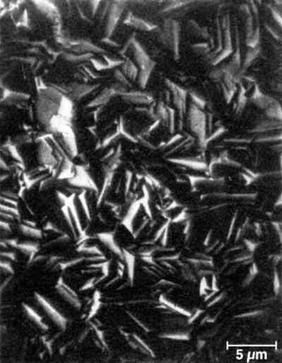 Figure 6 - Surface morphology of a commercial electrogalvanized coating (SEM: 3000Ã).