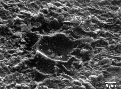 Figure 9 - Rupture site with paint removed (SEM: 1000Ã)