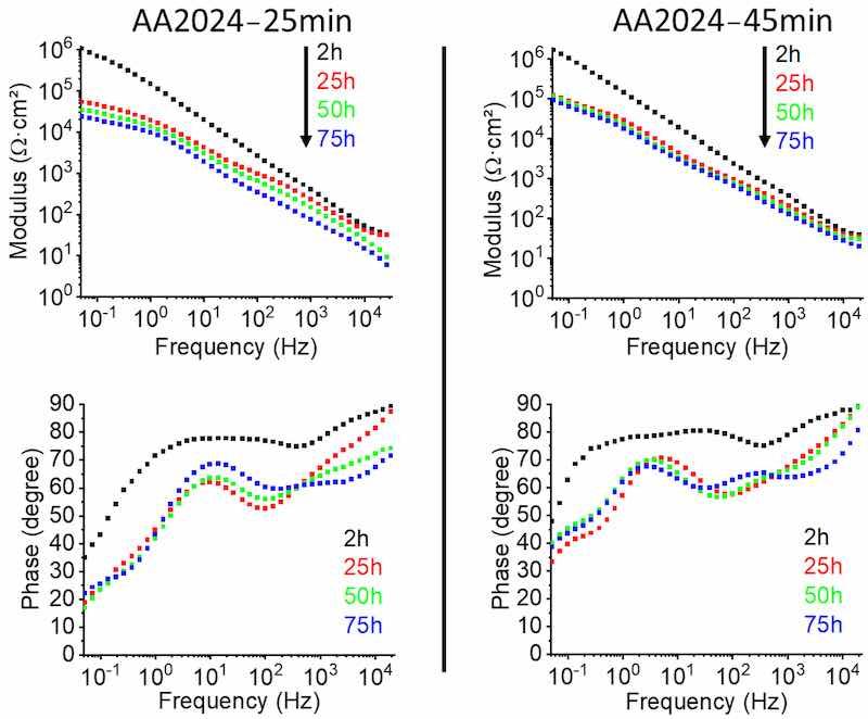 Figure 7. Corrected Bode diagrams of 2024 anodized in TSA for 25 min and 45 min, obtained after 2 h (â), 25 h (â), 50 h (â) and 75 h (â) of immersion in 0.01 M NaCl.