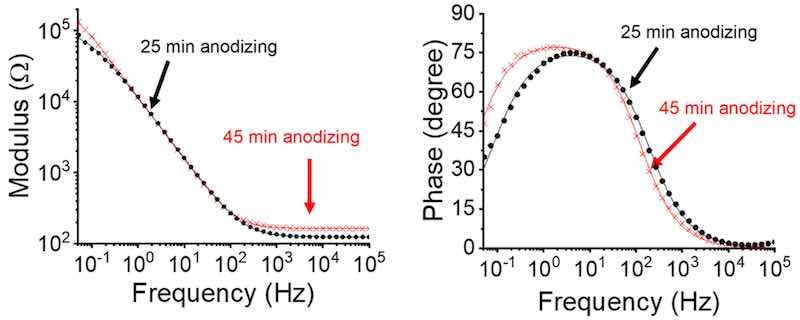 Figure 9. Bode diagrams of the 2024â25 min (â) and 2024â45 min (X), obtained after 2 h of immersion in 0.01 M NaCl. Solid lines represent the fitting curves.
