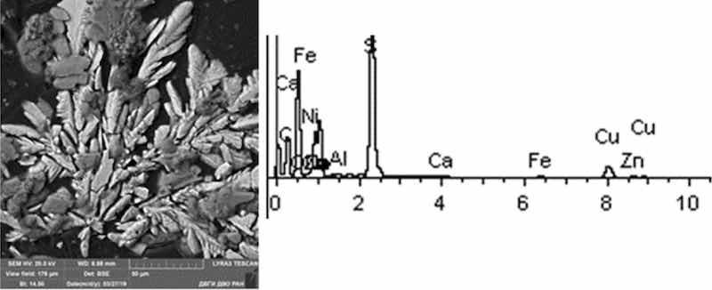 Fig 10: Cathodic degreasing 4. Particles morphology. Scanning electronic microscopy. Measuring interval 50 Âµm.