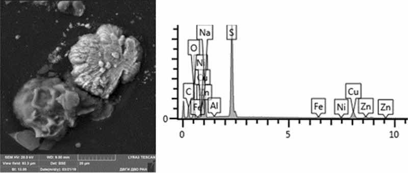 Fig. 12: Desmutting. Particles morphology. Scanning electronic microscopy. Measuring interval 20 Âµm.
