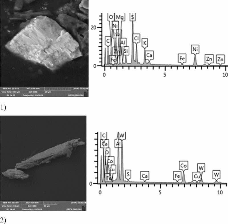 Fig 15: Nickel plating. Particles morphology. Scanning electronic microscopy. 1) Measuring interval 20 Âµm, 2) Measuring interval 50 Âµm.