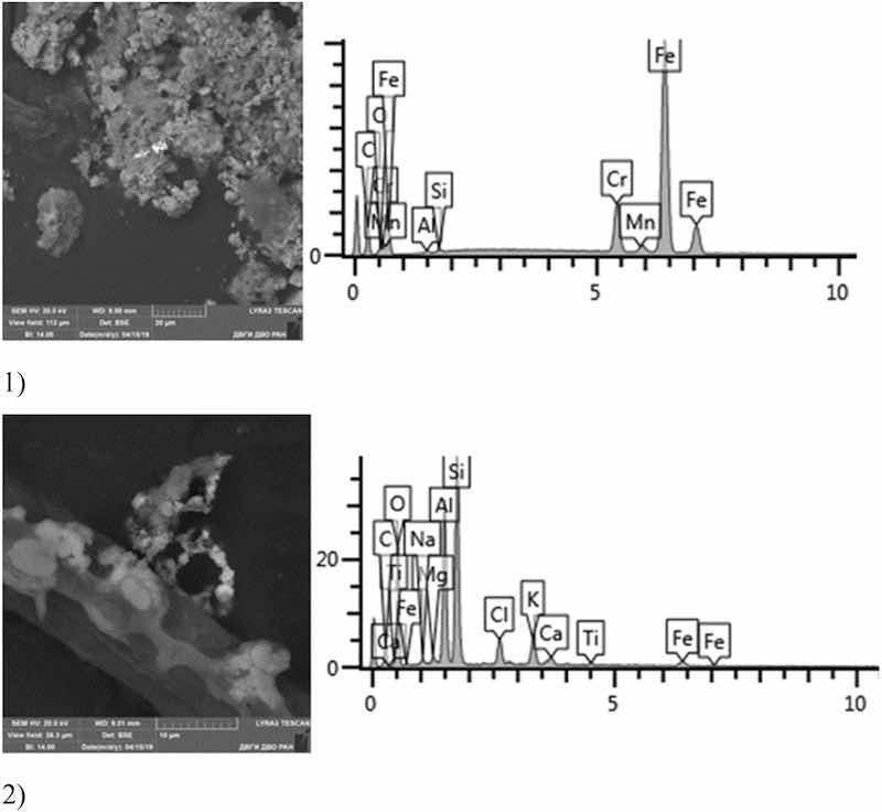 Fig 17: Cadmium plating. Particles morphology. Scanning electronic microscopy. 1) Measuring interval 20 Âµm, 2) measuring interval 10 Âµm.