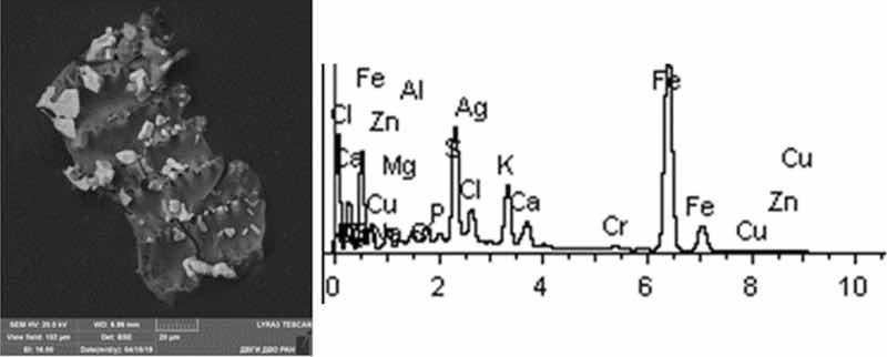 Fig. 18: Silvering. Particles morphology. Scanning electronic microscopy. 1) Measuring interval 20 Âµm.