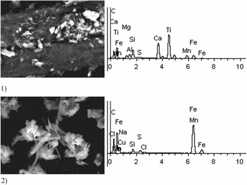 Fig 6: Sulfuric acid anodizing. Particles morphology. Scanning electronic microscopy.