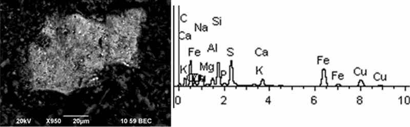 Fig 7: Aluminum degreasing. Particles morphology. Scanning electronic microscopy. MagnificationâÃ950.